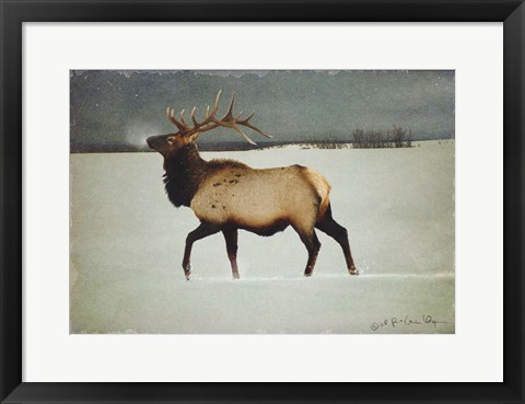 Framed Silver Mist Elk Print