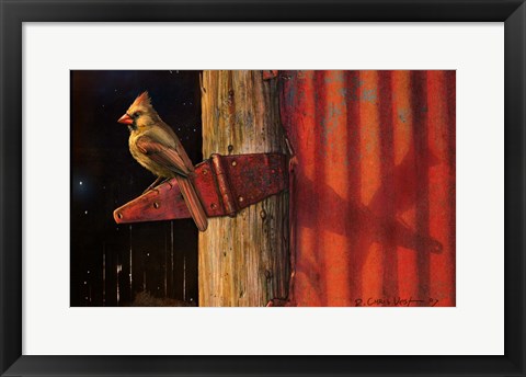 Framed Cardinal Print