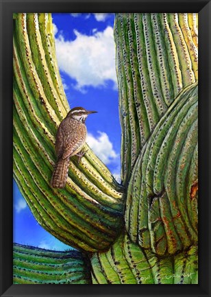 Framed Cactus Wren Print