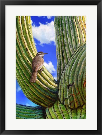 Framed Cactus Wren Print