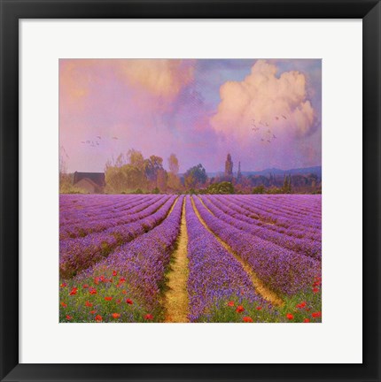 Framed Lavender Print