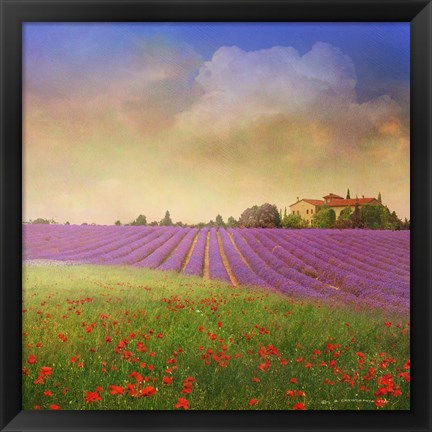 Framed Lavender Fields Print