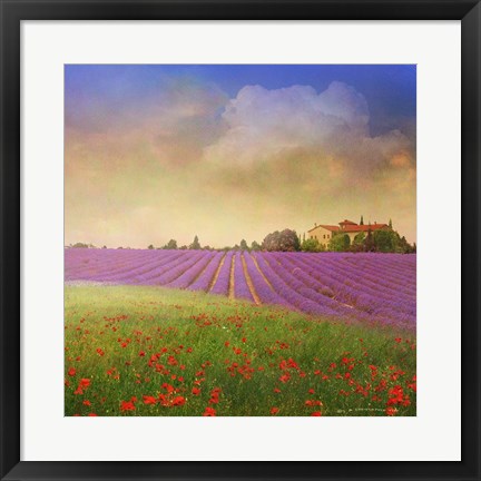 Framed Lavender Fields Print