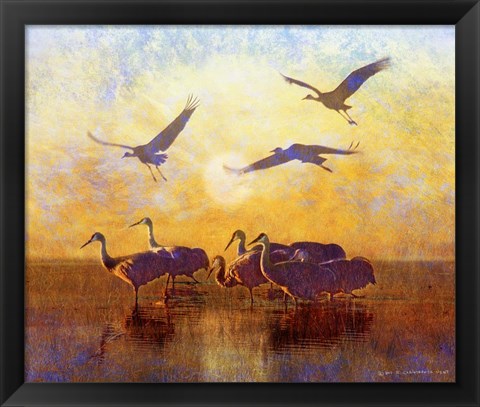 Framed Sunrise Cranes Print