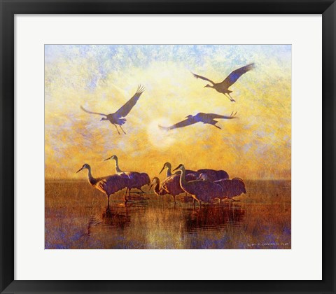 Framed Sunrise Cranes Print