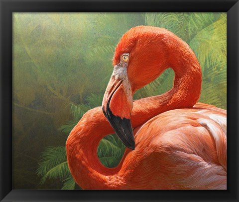 Framed Flamingo Print