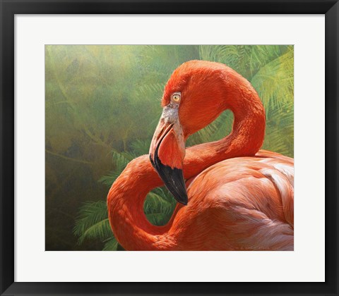 Framed Flamingo Print