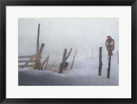 Framed Foggy Fence Redtail Print