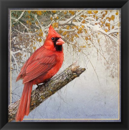 Framed Cardinal Snow Print