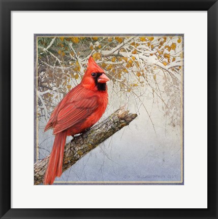 Framed Cardinal Snow Print