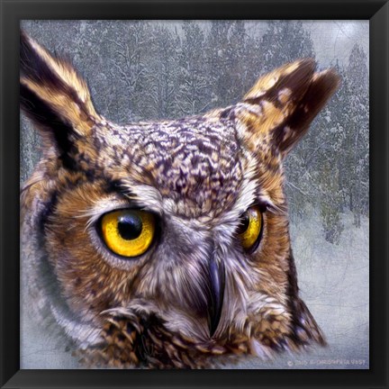 Framed Winter Owl Print