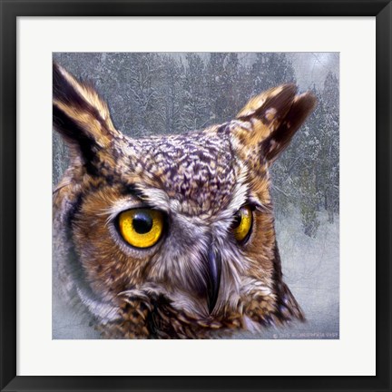 Framed Winter Owl Print