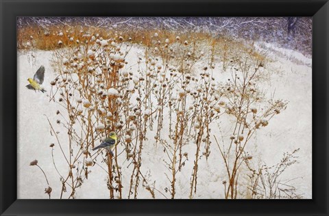 Framed Goldfinches Snow Print