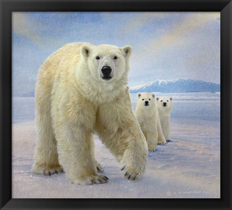 Framed Polar Bears Print