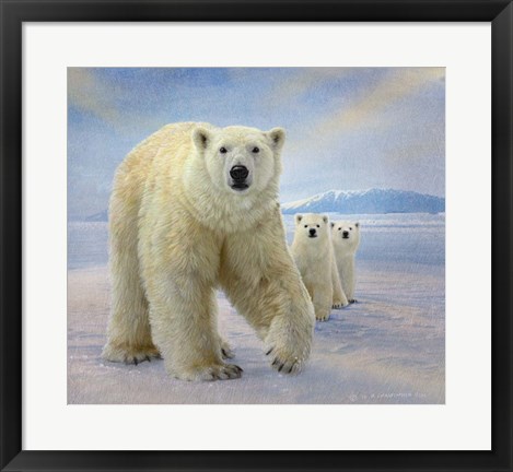 Framed Polar Bears Print