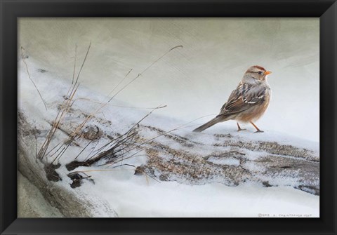 Framed Snowscape Wc Sparrow Print