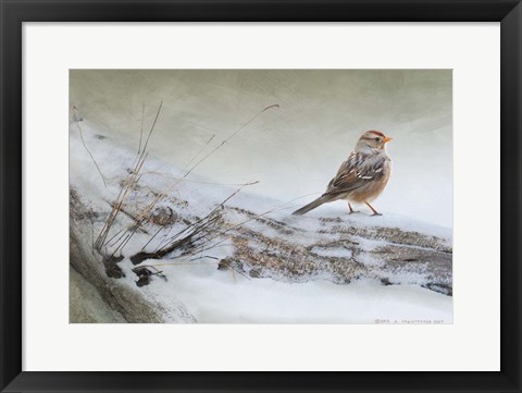 Framed Snowscape Wc Sparrow Print