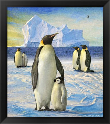 Framed Penguins Print