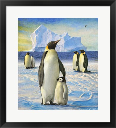 Framed Penguins Print