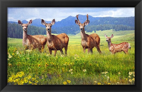 Framed Deer Family Print