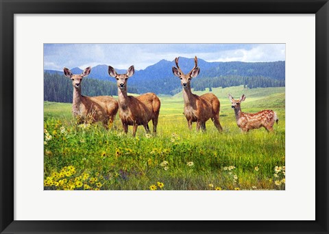 Framed Deer Family Print