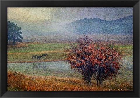 Framed Horses And Lone Oak Print