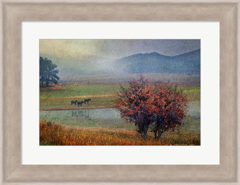 Framed Horses And Lone Oak Print