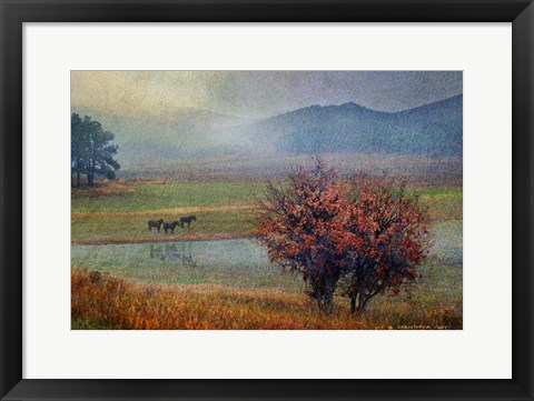 Framed Horses And Lone Oak Print