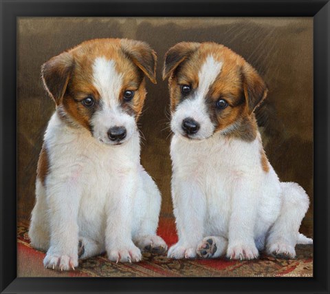 Framed Twin Puppies Print