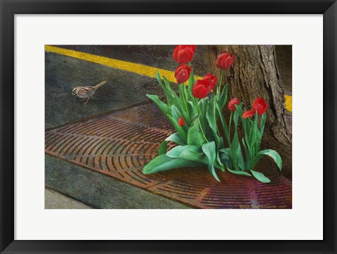 Framed Sparrow,Tulips And Sidewalk Print