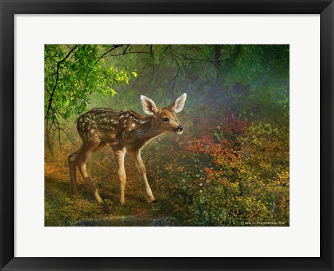 Framed Forest Fawn Print