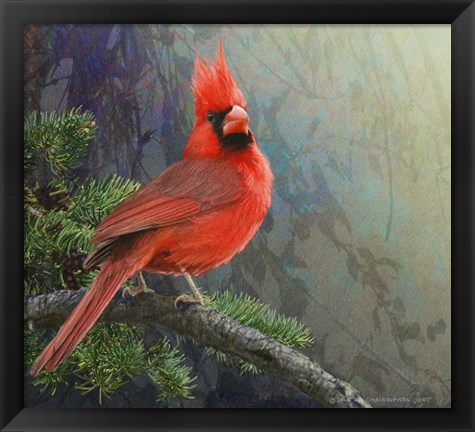 Framed Mountain Cardinal Print