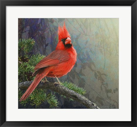 Framed Mountain Cardinal Print