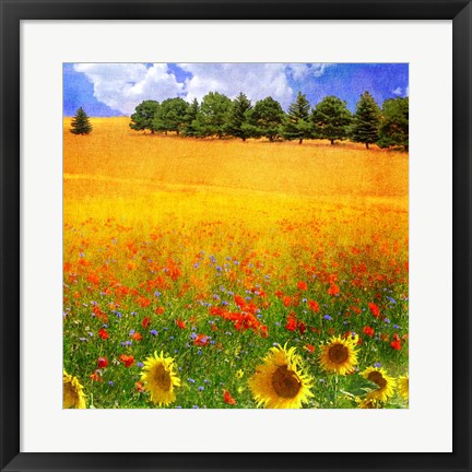 Framed Golden Field Print