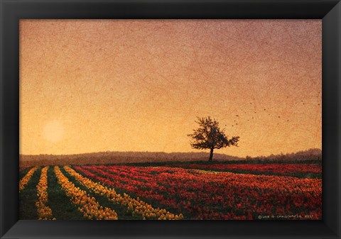 Framed Lone Tree Tulips Print