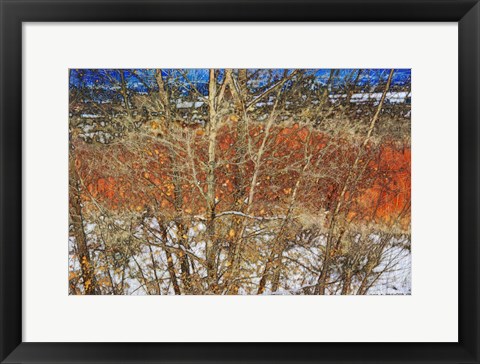 Framed Red Yellow Willow Print