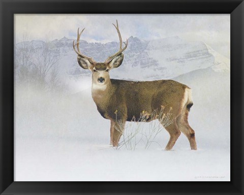 Framed Bucky Deer Snow Print