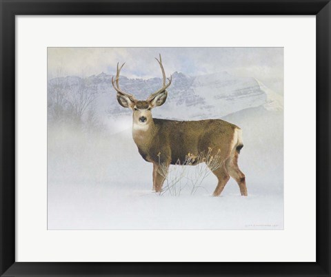 Framed Bucky Deer Snow Print