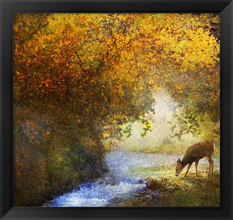 Framed Deer By Woodland Brook Print