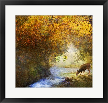 Framed Deer By Woodland Brook Print