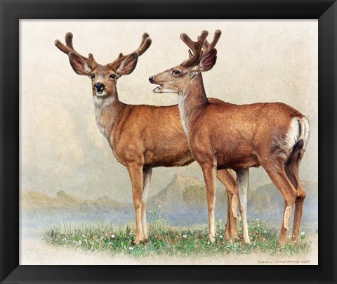 Framed Laughing Deer Print