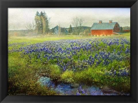 Framed Blue Bonnet Barn Print