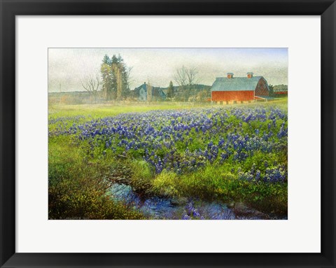 Framed Blue Bonnet Barn Print