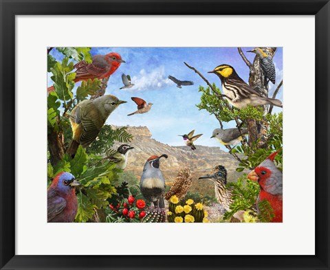 Framed Texas Birds Print