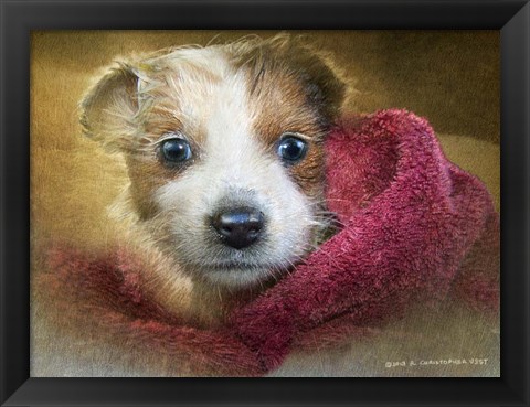 Framed Puppies First Bath Print