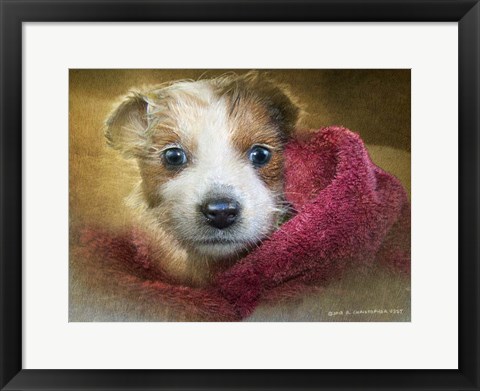 Framed Puppies First Bath Print