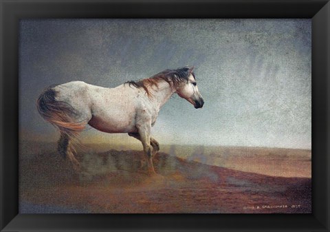 Framed White Horse Dust Storm Print