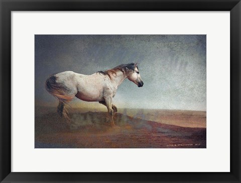 Framed White Horse Dust Storm Print