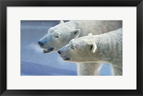 Framed Brothers Polar Bears Print