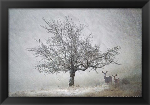 Framed Lone Tree Deer Kestral Print